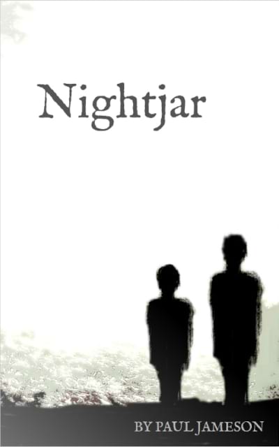 Nightjar by Paul Jameson